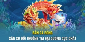 Săn xu đổi thưởng tại đại dương cực chất